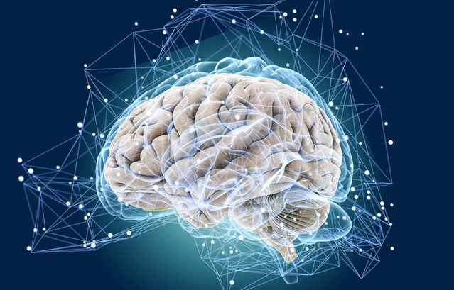 Deep Brain Reorientation: A Practical Guide to Accelerated Neural Recovery